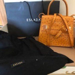 Leather Escada Handbag